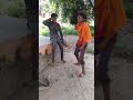 Raj k pooja Whatsapp Status Video Download Free