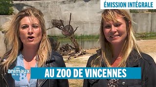 Dans les coulisses du parc zoologique de Paris - Émission intégrale