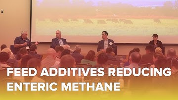 Feed Additive Strategies Reducing Enteric Methane in Animal Agriculture