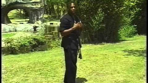 DANIEL STERLING FROM VOL. 4 STANDING FLASH KICK