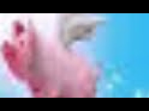 Как заработать гемы в Hungry dragon 🤤 🐉