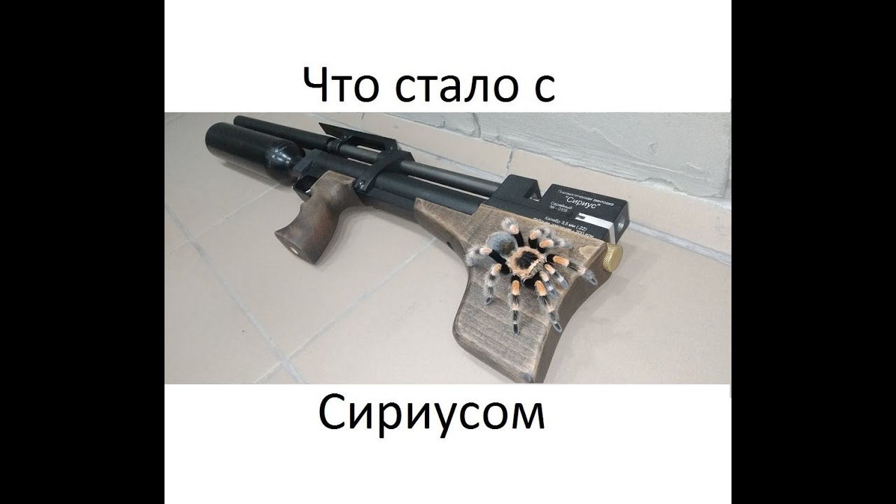 Что стало с Сириусом - YouTube