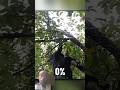 kya aapko pata Hai apple tree (fact) #shorts #ytshorts #facts