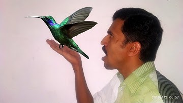 photo editor App for Android   cinemagraph animator &live photos VIMAGE tech புதுசு