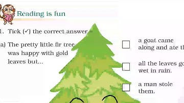 CBSE Class 4 english lesson : the little fir tree exercises