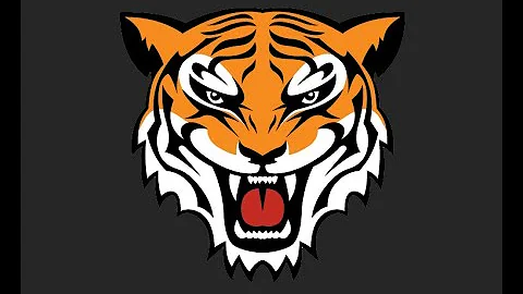 Tiger Volleyball Vs. Irene-Wakonda