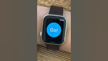 How Clients Track Workouts and Habits on The PT Distinction Apple Watch App