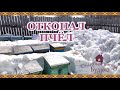 Откопал Пчёл