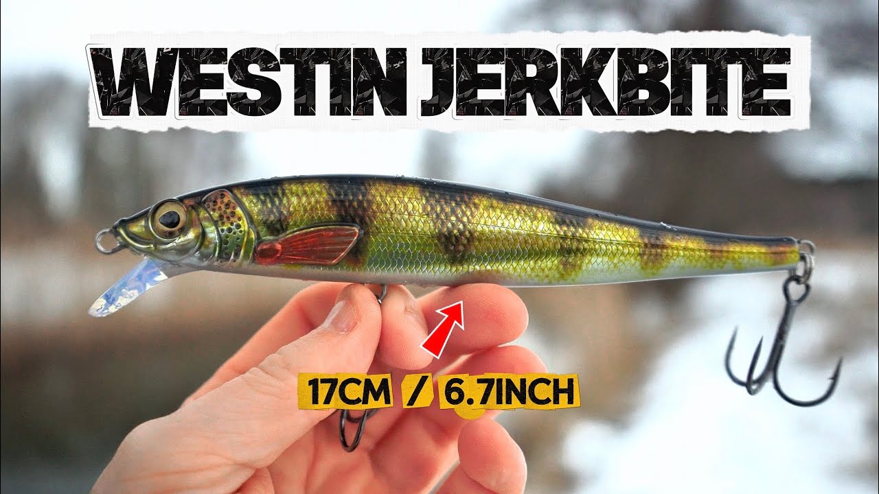 WESTIN JERKBITE 17CM | NEW FOR 2026 | HANDS ON & FIRST IMPRESSIONS