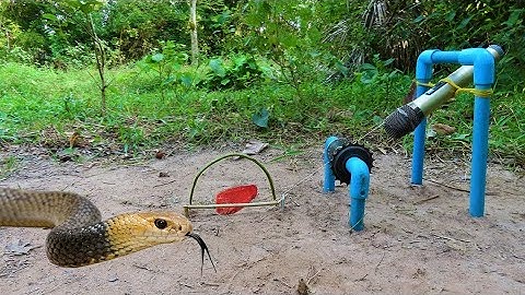 EASY SNAKE TRAP  Creative Method DIY Snake Trap Using Megaphone And Bike Crank That Work 100%.