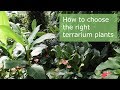 View Plants Top Png