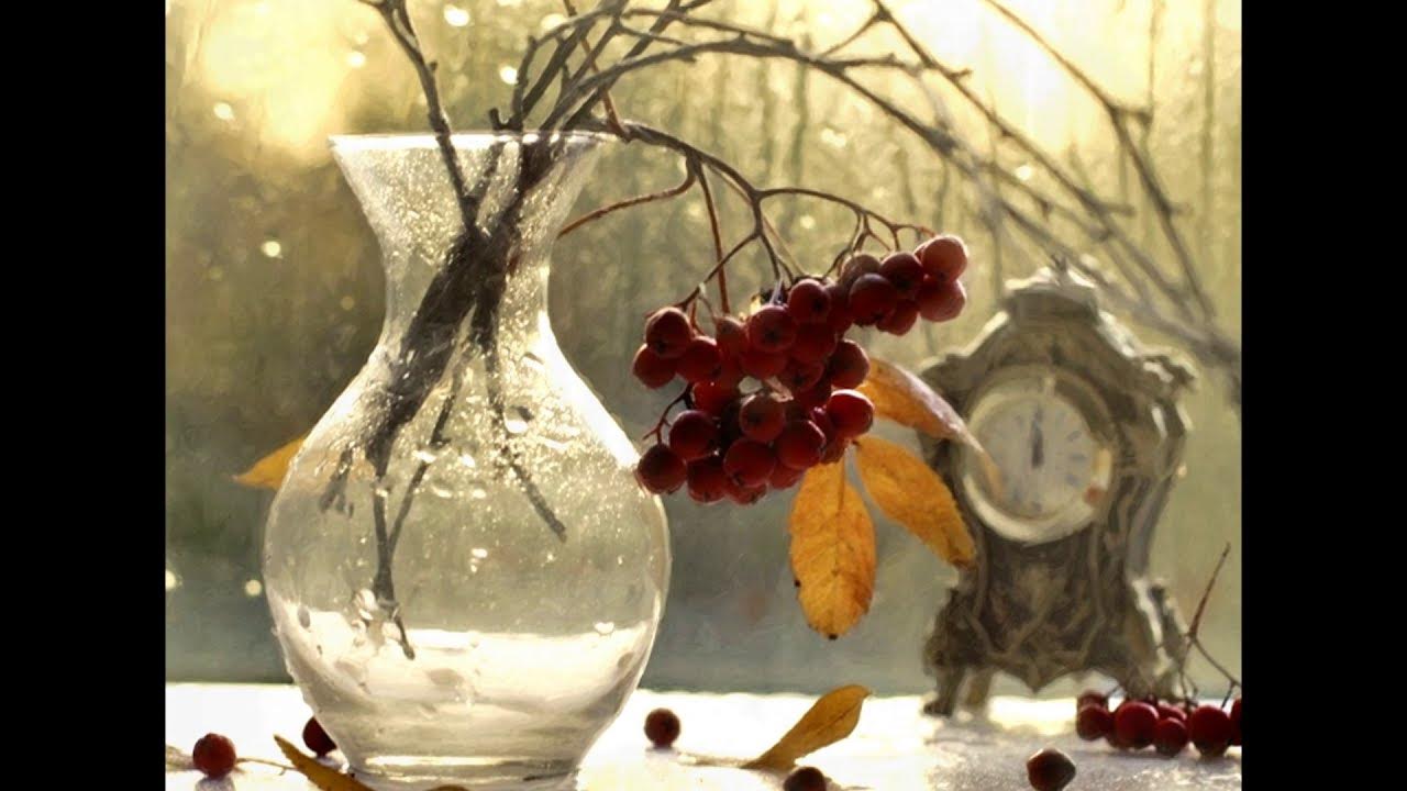 круженный день. красота души. круженный день. ягоды в лесу. девушка с кофе.