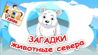 Животные Севера. Музыкальные Загадки. Папа V Теме