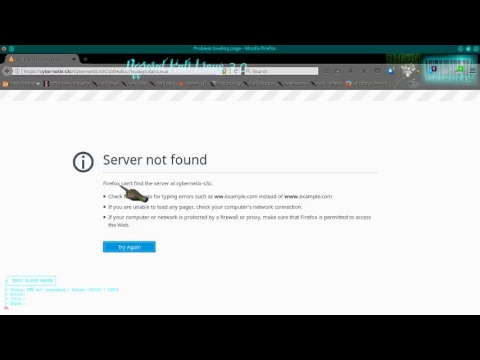 Node.js for Kali Linux