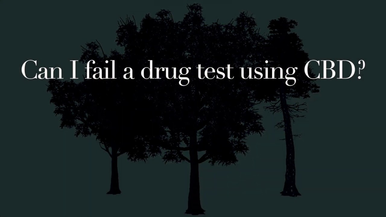 The Treehouse Remedy, Can you fail a drug test using CBD?