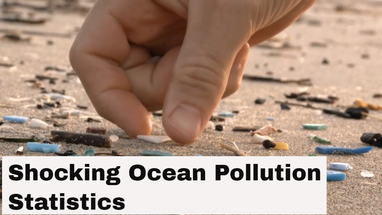 Shocking Ocean Pollution Statistics