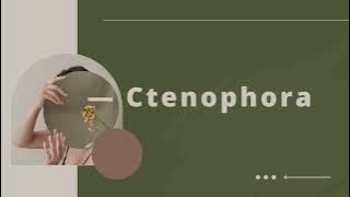 Tugas video ( Animalia : porifera, ctenophora & cnidaria )