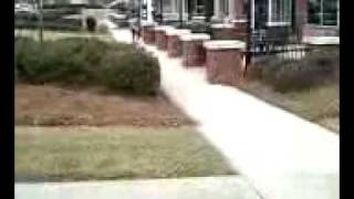 SSC Danny Hittin Grass Gap