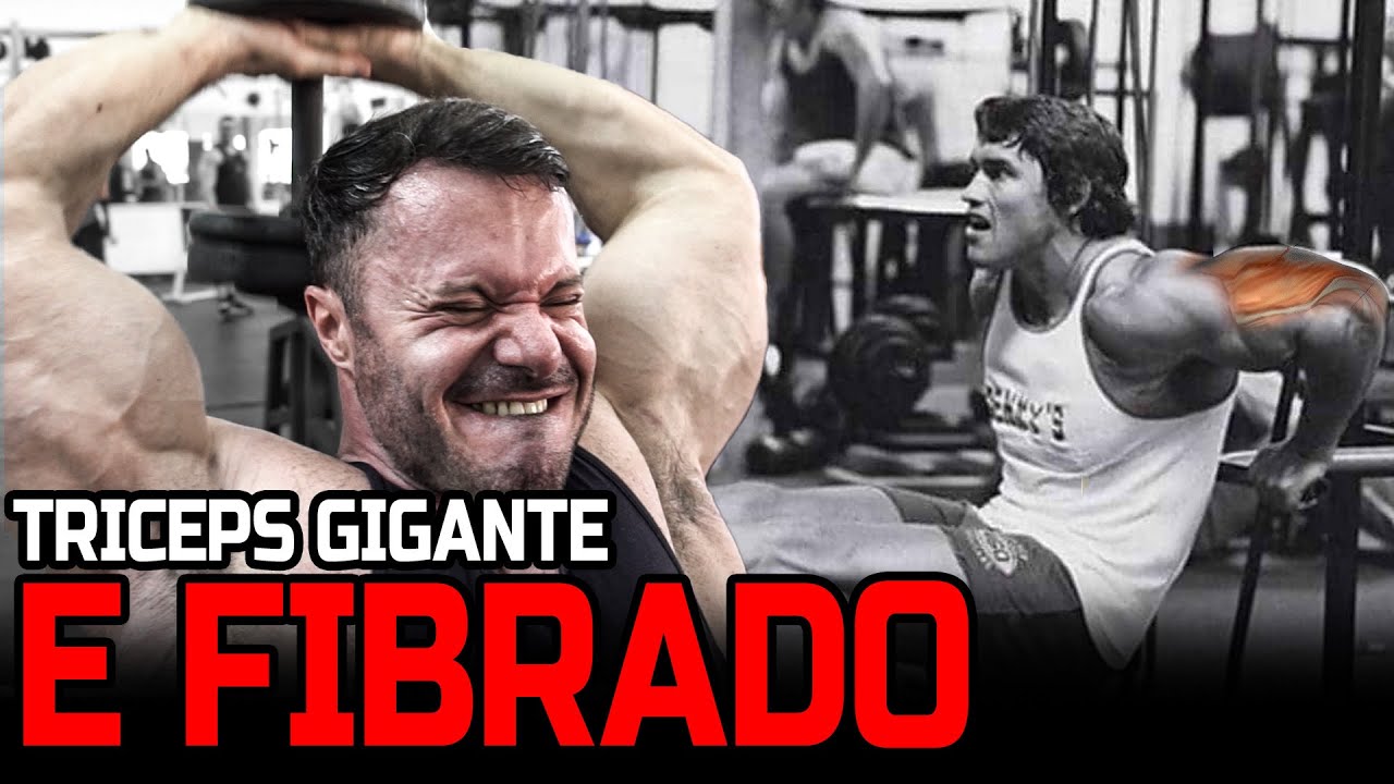 TENHA UM TRÍCEPS GIGANTE E FIBRADO !!!