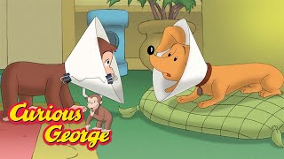 curious george george tries to help hundley kids cartoon kids movies videos for kids