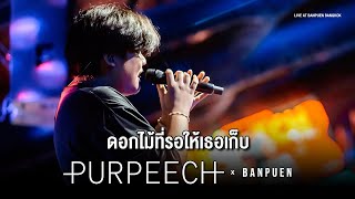 PURPEECH - ดอกไม้ที่รอให้เธอเก็บ | Live Concert บ้านเพื่อน บางกอก