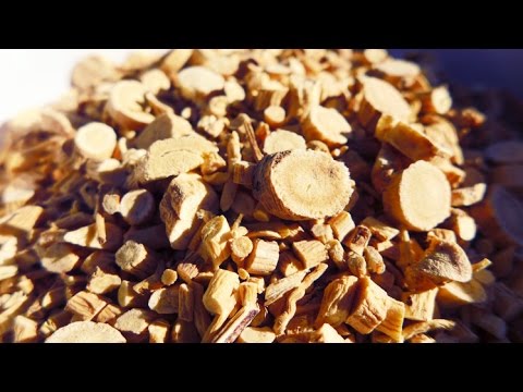 Health Benefits Of Astragalus Root