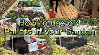 How to Revive a Garden Bed