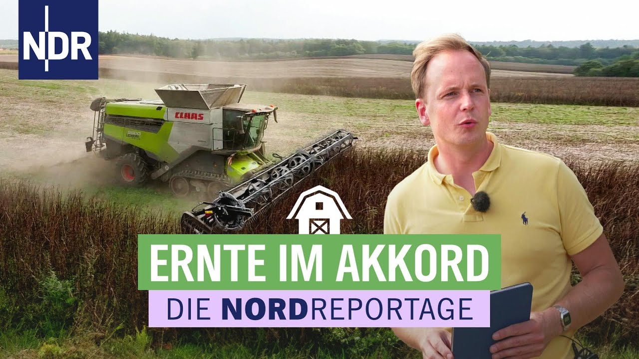 36 Stunden Zeit für die Ernte: alles kommt aufs Team an | Die Nordreportage | NDR