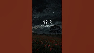 #قرآن #سورة_الإخلاص #ماهر_المعيقلي