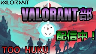 負けたら終わりVARORANTだ！！やっぞ！！！