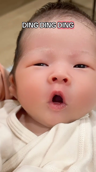 Sigma Baby Learns English 😂👶🏻 🦊(what does the fox say?)