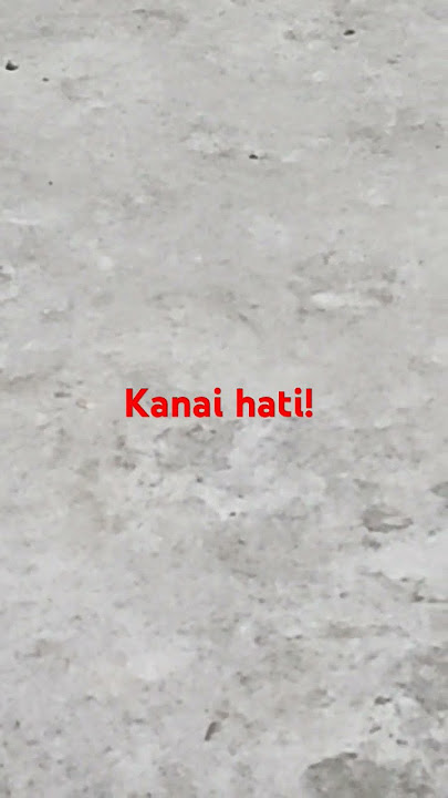 Laila Ayu Ciinan Bana Simpatik Music