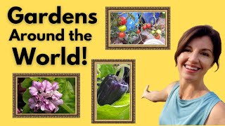 Celebrating Your Gardens! Garden Showcase 2023 by Now Gardening 248 views 7 months ago 7 minutes, 33 seconds