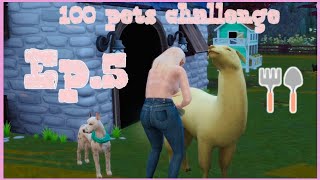 100 PETS CHALLENGE|SIMS 4|EP.5| We took out a loan!? + mama llama drama!!!