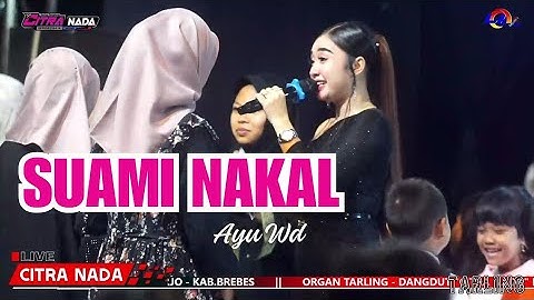 SUAMI NAKAL ~ AYU WD // CITRA NADA LIVE DUKUH ANJUN KALER - MALAHAYU // BANJARHARJO - BREBES