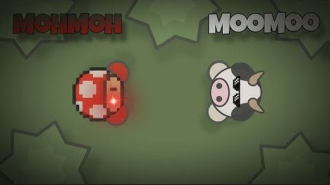 MooMoo not MohMoh / Fire video from 2025!!