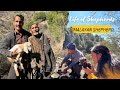 A shepherds life  conversation with a himalayan shepherd  winter stay of shepherds  gun chaat