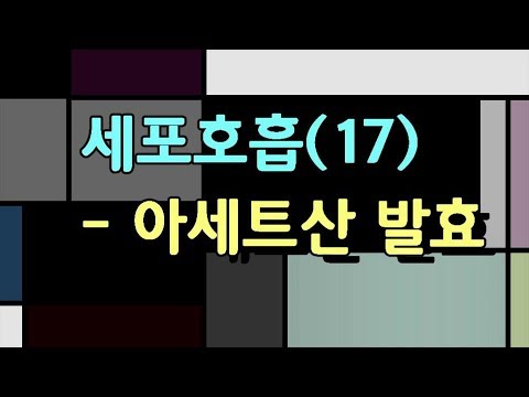 아세트산발효_세포호흡(17)