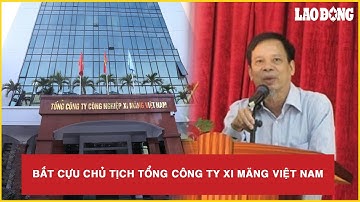 Bắt cựu Chủ tịch Tổng Công ty Xi măng Việt Nam | Báo Lao Động