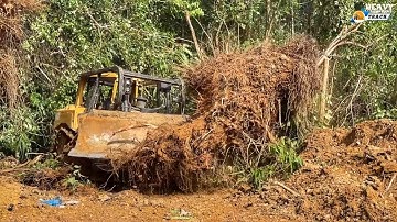 Risky Job: CAT D6R XL Bulldozer Pushes Over Large Tree Roots Blocking Road
