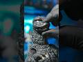 Threezeroのゴジラがすげえ... #godzilla #toyasmr