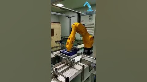 AE 6 axis industrial robot arm picks up soap and packs testing video