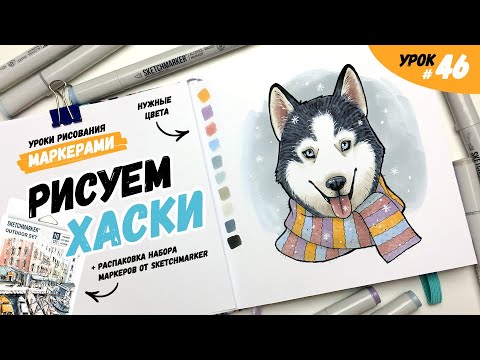 Как нарисовать хаски? / Видео-урок по рисованию маркерами для новичков #46