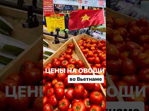 Цены во Вьетнаме | Цены в Нячанге | Обзор цен на продукты | Затерянные в путешествии