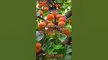 🧡  إِنَّ فِي ذَٰلِكَ لَآيَاتٍ لِّقَوْمٍ يَتَفَكَّرُونَ 🧡سورة الرعد 🎧 🌸 _ القارئ احمد خضر