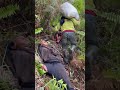 Tsada kaau dria basin gusto mo mag hiking