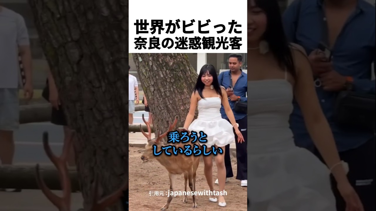 世界がビビった奈良の迷惑観光客