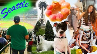 Top Things To Do In Seattle - A Travel Dogs Guide by The Way 878 views 2 years ago 16 minutes