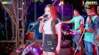 ANAK LANANG (DIN ANESIA) - MH 69 MUSIC - WEDDING RUTONO & EVA LIVE CABAK - CITRA AUDIO