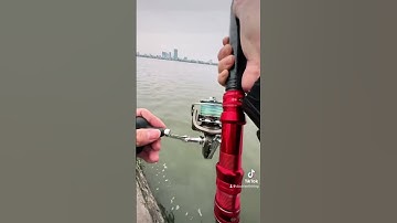 Đây rồi 😅😅 #duchienfishing #fishing #caucathugian #fish #cauca #fishinglife #caubatieu